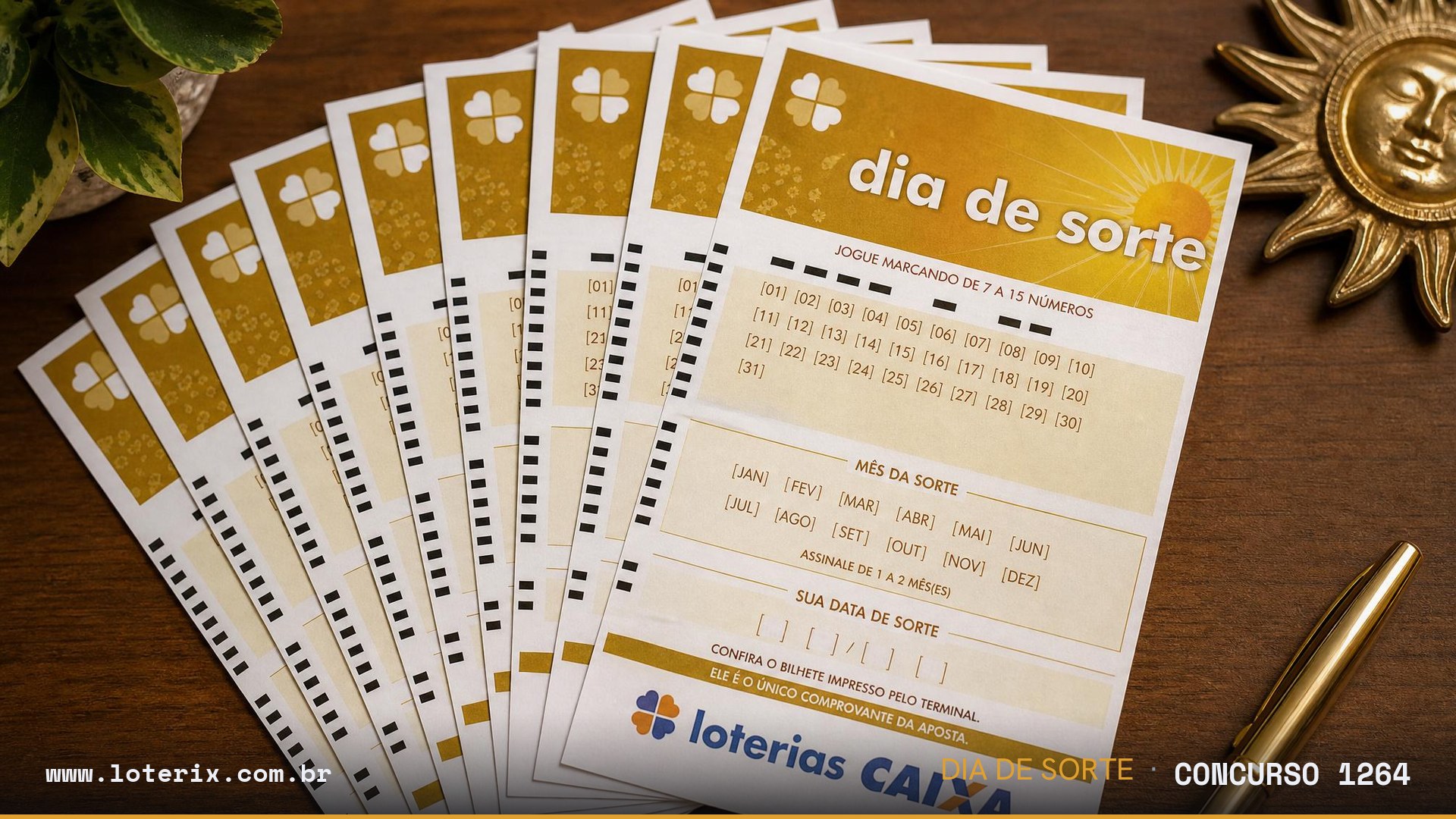 Dezenas sorteadas da Dia de Sorte 1264: 04, 07, 14, 16, 19, 20, 22